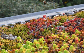 the cost of Cocklake green roof installation