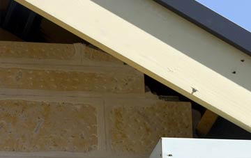 soffit repair Cocklake
