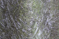 Cocklake fibreglass roof work